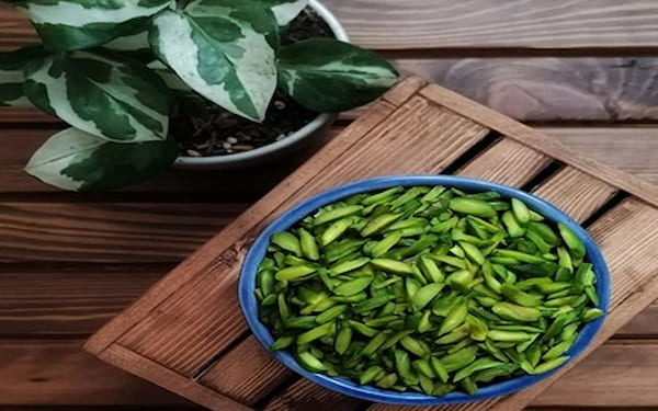 خرید و قیمت پسته خلالی تازه + فروش عمده 4